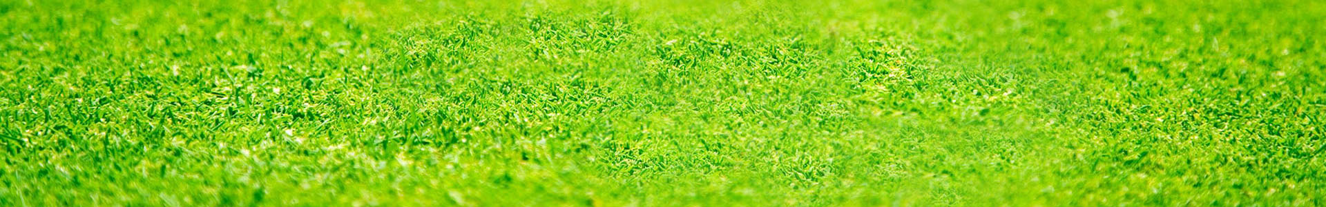 景區環境監測（cè）專題