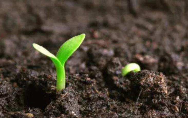 土壤墒情環（huán）境監測/檢測的過程是什麽樣的