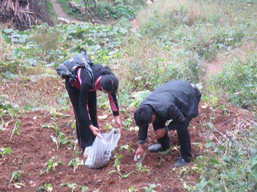 土壤墒情環境監測/檢測如何正確采樣