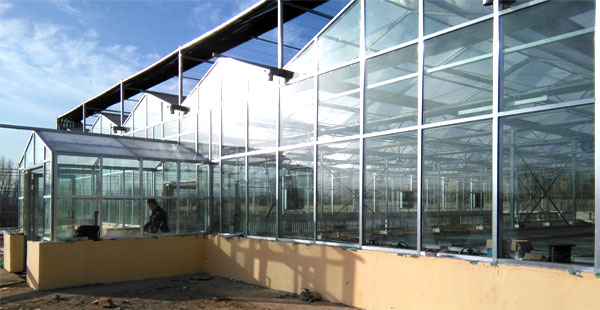 【智慧農業物聯網百科】物聯網技術保障糧食安全