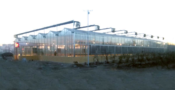 【智慧農業（yè）物聯網（wǎng）百科】物聯網技術保障糧食安全