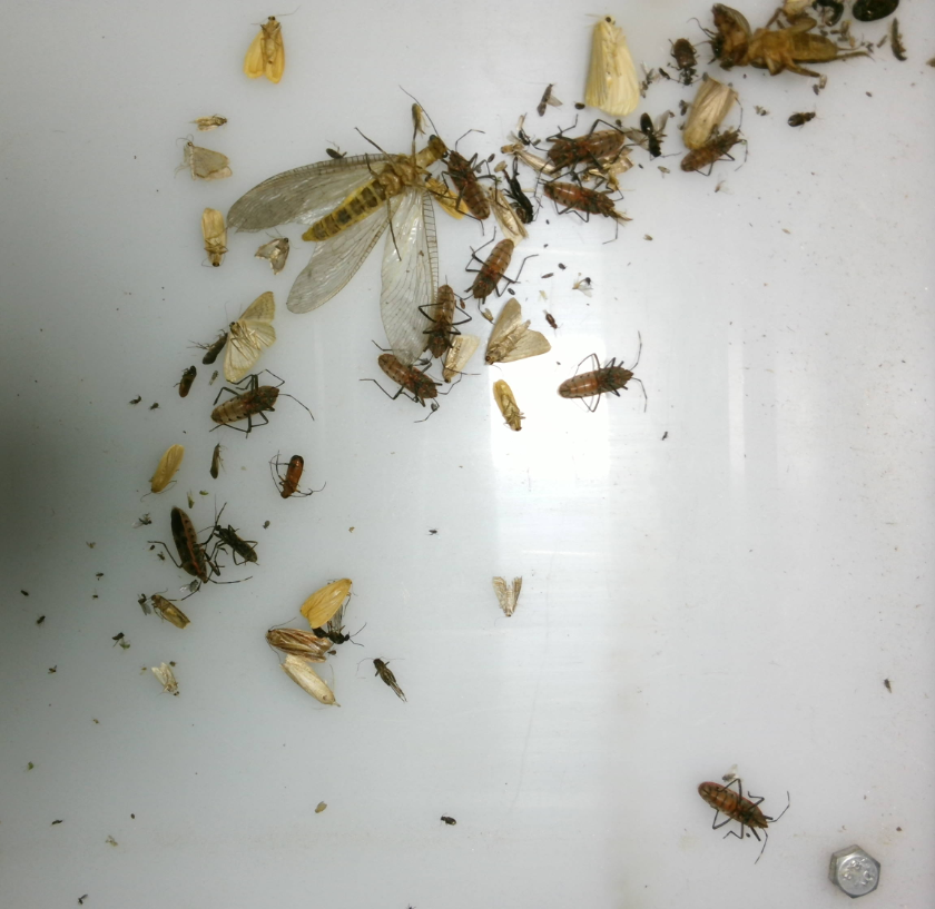 智慧農（nóng）田農林4情監測（cè）預警係統