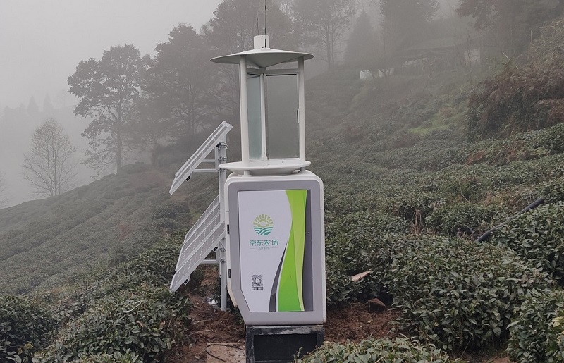 高標準智慧高山（shān）茶園解決方（fāng）案