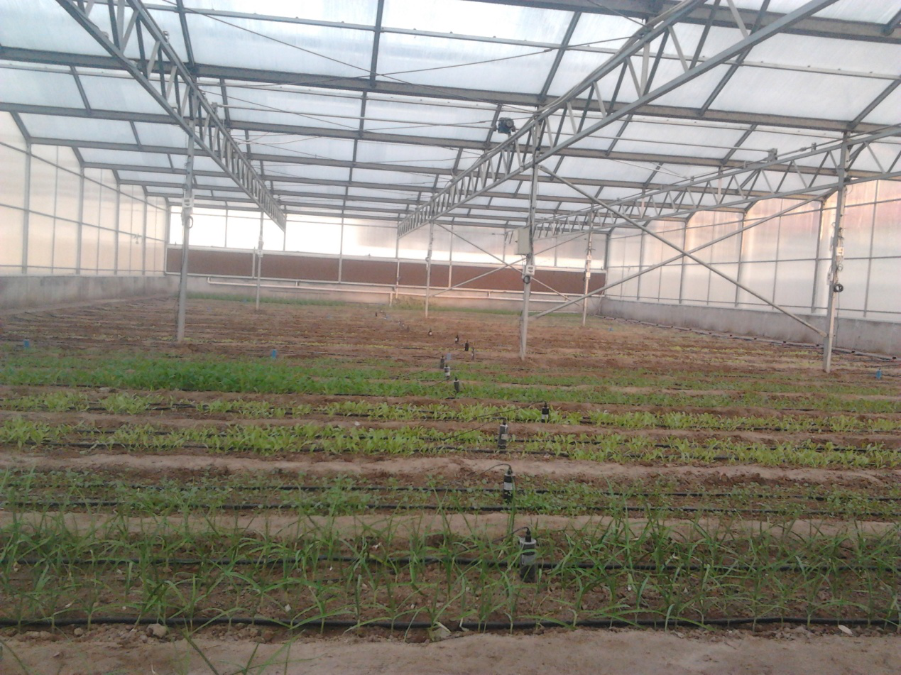 智慧農業水肥一體化灌溉技術解決方（fāng）案