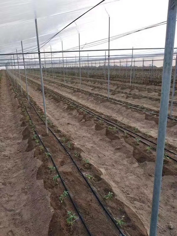 智慧農業水肥一（yī）體（tǐ）化灌溉技術解決方案