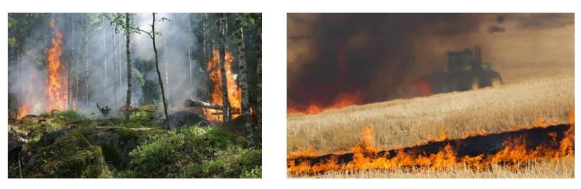 森林（lín）防（fáng）火在線監測係統設備