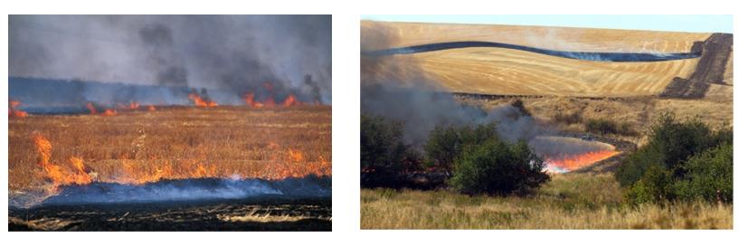 森林（lín）防火在線監測（cè）係統設（shè）備