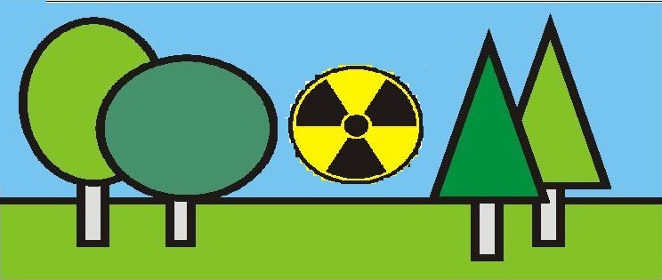 在廢舊鋼鐵檢驗中通道（dào）式輻射儀的（de）作用