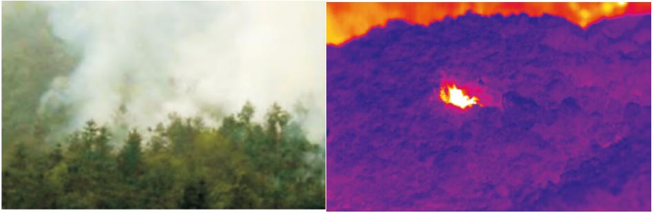 森林火險（xiǎn）預警係統產品方（fāng）案