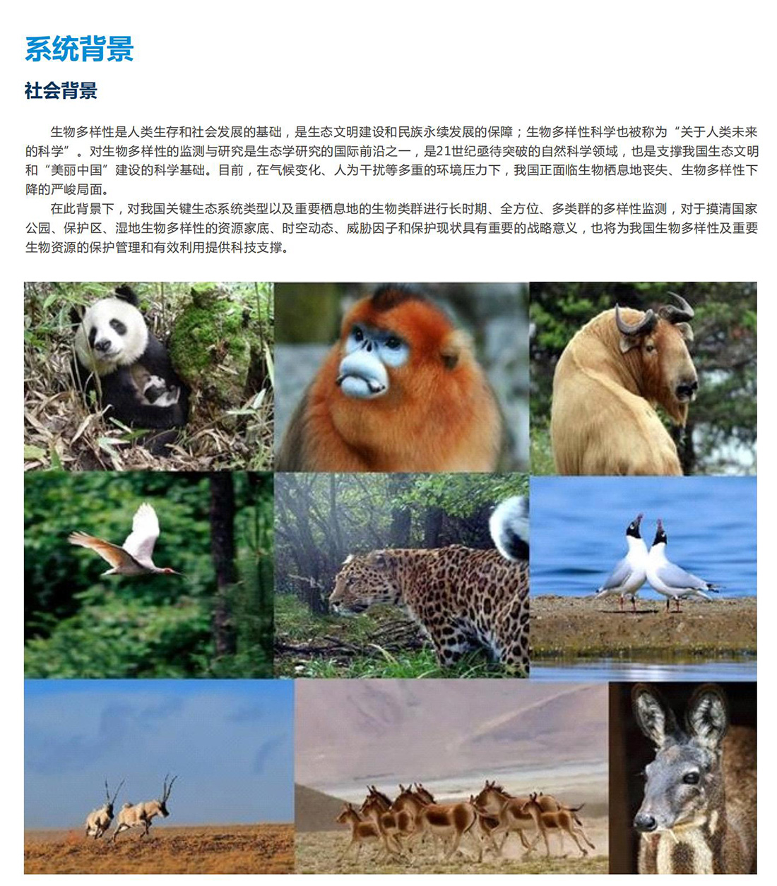 生（shēng）態（tài）保護區動植物環境監測係統方案（àn）