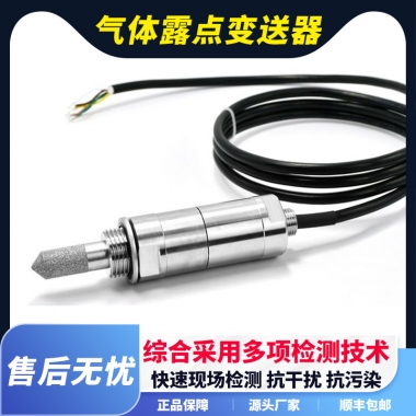 在線（xiàn）式智（zhì）能露點儀