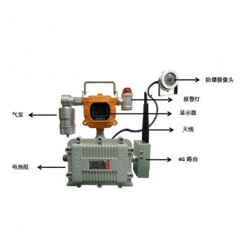 手提可移動固定（dìng）式（shì）有毒害氣體檢測儀