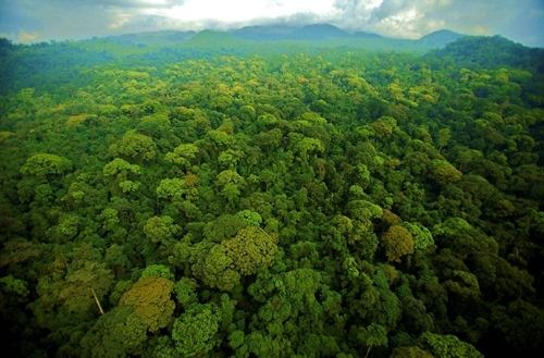 守(shǒu)護“地球之腎”:濕(shī)地公園生態保護的係統實(shí)踐與價值重構(gòu) 守護“地球之腎”:濕(shī)地公園生態保護的係統實踐(jiàn)與價值(zhí)重構